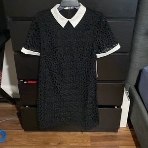 Aqua black and white collar dress